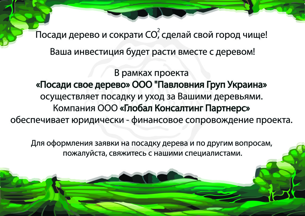 paulowniagroup01